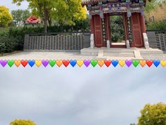 -大兴世界月季主题园