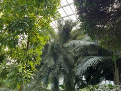 -石家庄市植物园