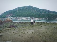 -南丫岛