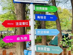 -上海共青森林公园