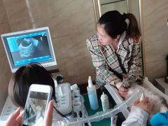 -安安宠医·安宠宠物医院