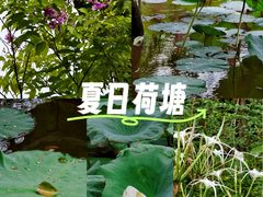 -金山植物公园