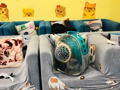 -瑞鹏宠物医院·爱宠堂·骨外专科(西荷分院)