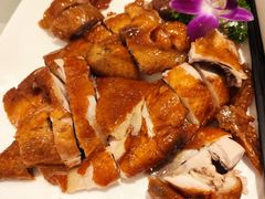 -锦粤宫·精致粤菜(深圳北站店)