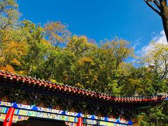 -天女山森林公园