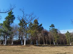 -佛手湖郊野公园
