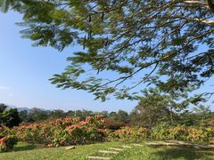 -中国科学院西双版纳热带植物园