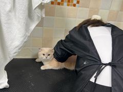 -宠颐生宠物医院·骨外科·犬猫全科诊疗中心(池州店)