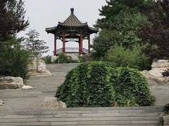 -大兴滨河森林公园