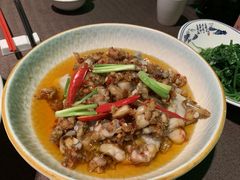 沸腾岩蛙-樽宴酒楼·地道川菜·品质宴请