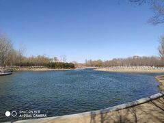 -大兴滨河森林公园