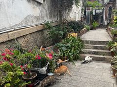 -厦门轮渡码头