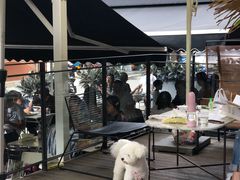 -the rug 飞毯 (朝阳公园店)