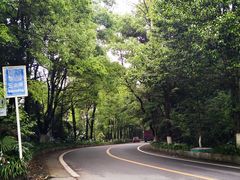 -铁山坪森林公园