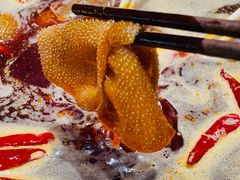 -王家渡火锅(三苏祠店)