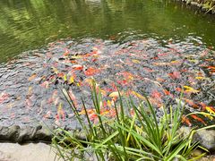 -广东天露山旅游度假区