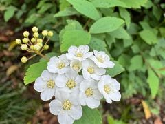 -白塘生态植物园