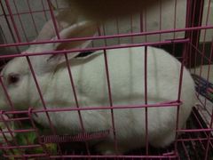 -石家庄市动物园