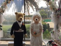 -济州岛泰迪熊博物馆