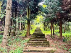 -武陵山森林公园