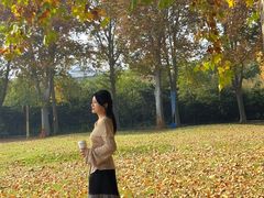 -河南省黄河迎宾馆