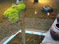 -几荷·恰似故人来(秀水广场店)