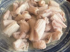 羊肚仁-金生隆(六铺炕店)