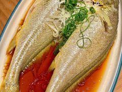 -波螺油子青岛本帮菜(银座店)