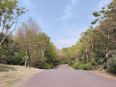 -上海海湾国家森林公园