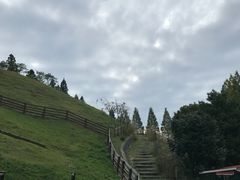 -神户市立六甲山牧场