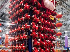 -麦德龙(闵行店)