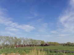 -永定河休闲森林公园