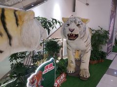 -野人先生Gelato(上海长宁龙之梦店)