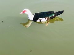 -前关湿地公园