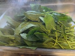 -成老灶火锅鸡(平山店)