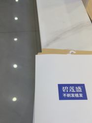 -碧莲盛不剃发植发