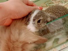 -龙猫仔乐园(惠福东路店)