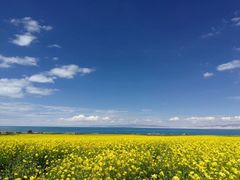 -青海湖国家重点风景名胜区