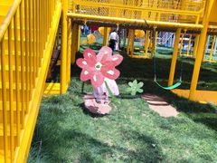 -合肥滨湖国家森林公园