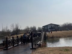 -南湖湿地公园
