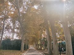 -河南省黄河迎宾馆