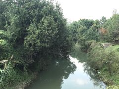-中国扬子鳄村
