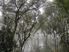 -岳麓山风景名胜区