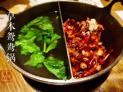 草本鸳鸯锅-盡膳口福跷脚牛肉火锅(合生汇购物中心店)