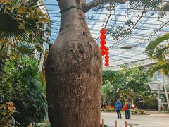 -北京植物园-展览温室