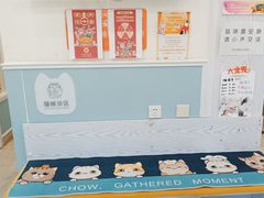 -纳吉亚猫专科动物医院·北北分院