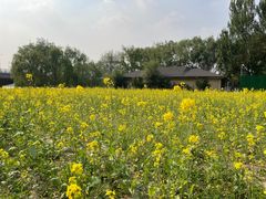 -长白岛森林公园