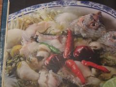 -Mountain House East Village 川山甲