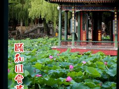 -颐和园