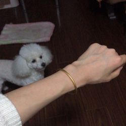 -六福珠寶(巴黎春天五角场店)